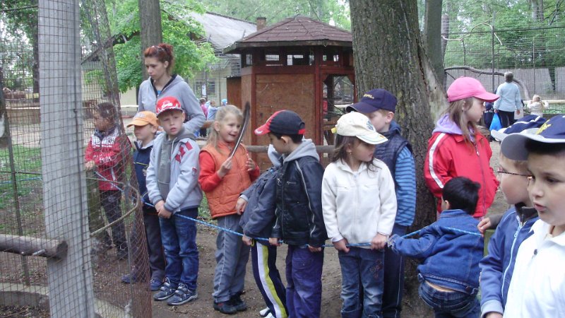 2011 05 02 Vadaspark 045.jpg